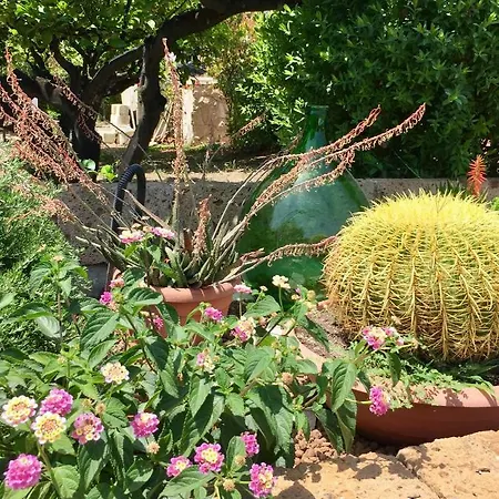 Lilly Feriehus Leporano